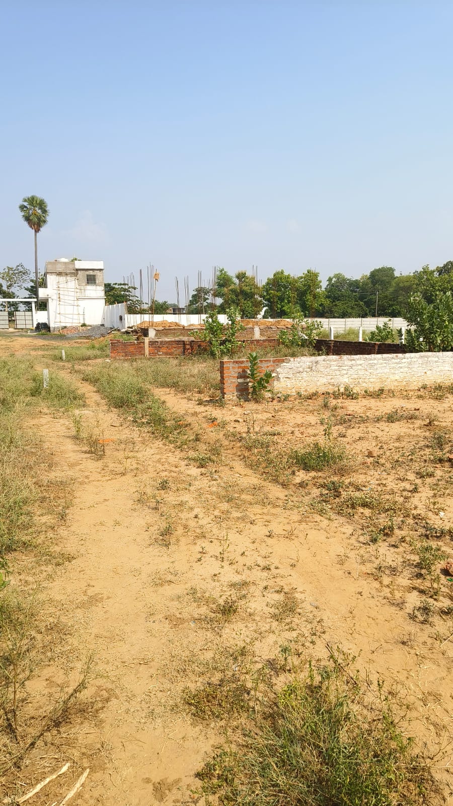 Bihta IIT Residential Plot